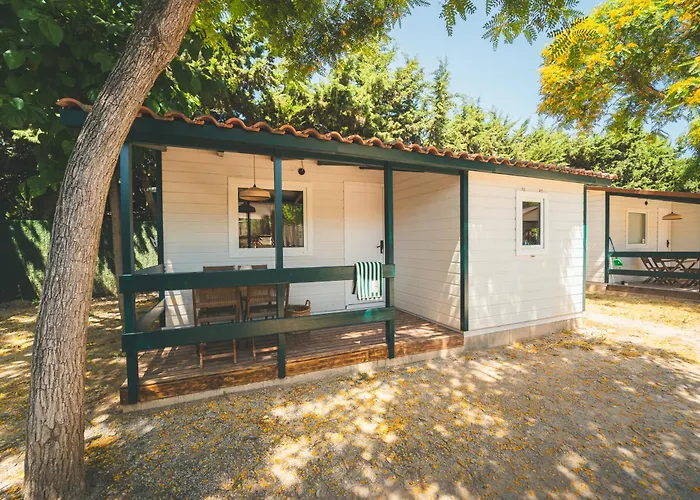 Holacamp Relax سيدجيس