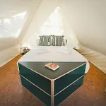 Holacamp Relax Camping